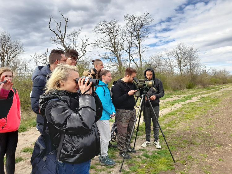 Mesterséges költőláda program, Mosonszolnok