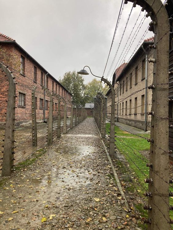 Auschwitz – Krakkó 2023