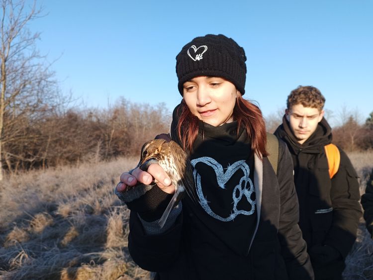 Bemutató madárgyűrűzés, 9. C