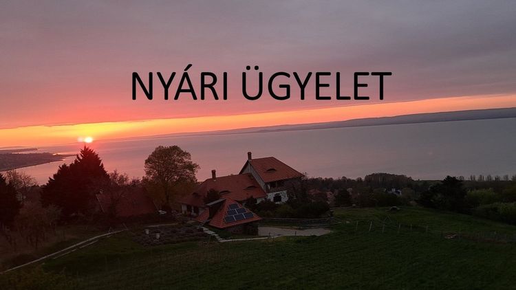 Nyári ügyelet az iskolában