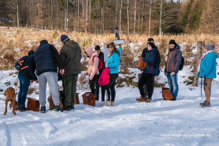 Odúkészítés és kitelepítés – Erdő Háza