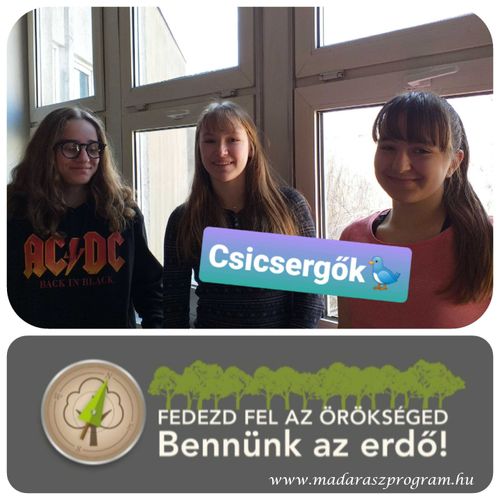 Ötödik hely az erdőismereti vetélkedőn