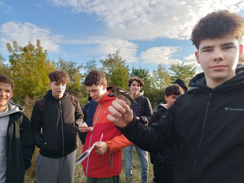 A mechatronikát tanulók is részt vettek madárgyűrűzésen