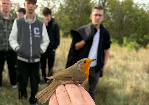 Bemutató madárgyűrűzésen járt a 9. C osztály
